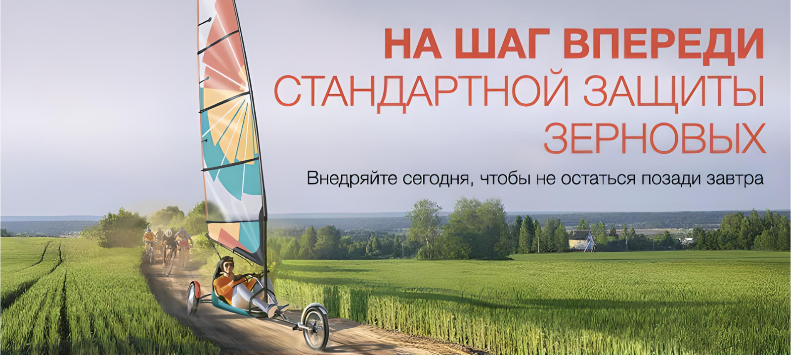 ЭЛАТУС® Эйс  - новый SDHI-фунгицид (карбоксамид) широкого спектра действия для защиты яровых зерновых культур от комплекса грибных болезней. В его состав входят пропиконазол (250 г/л) — стандарт в триазольной защите зерновых культур и СОЛАТЕНОЛ® (Фунгицид с молекулой СОЛАТЕНОЛТМ. СОЛАТЕНОЛТМ является зарегистрированным торговым названием бензовиндифлупира)— карбоксамид, который обеспечит более продолжительную защиту посева и физиологическое действие. Даже в отсутствие заболеваний листья дольше сохраняют нас