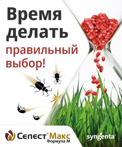 Селест Макс - время делать правильный выбор!