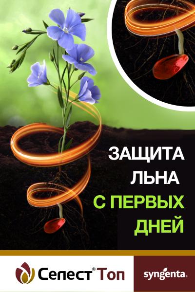 Селест Топ защита льна с первых дней