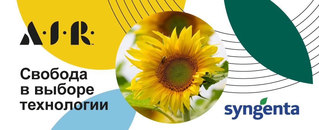 Күнбағыс суреті бар Syngenta логотипі, сол жақта орысша мәтін, сары-жасыл дизайн