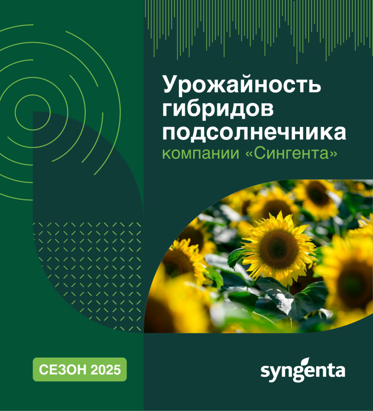 Урожайность гибридов подсолнечника компании Сингента