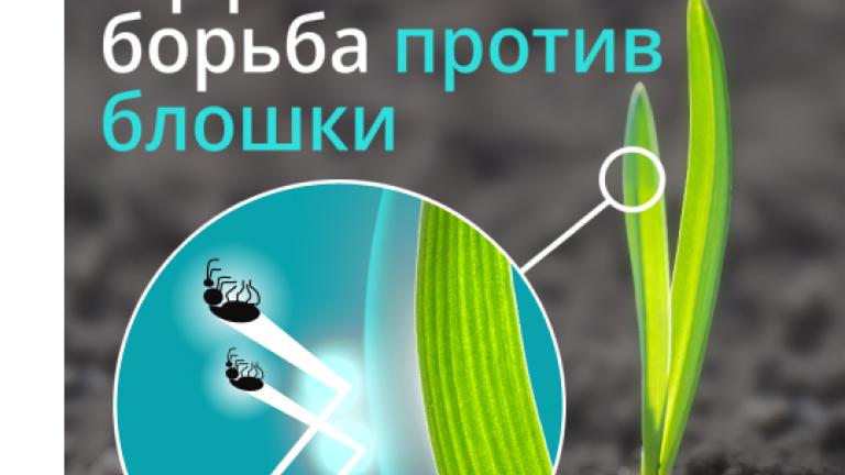 Дивиденд Суприм - эффективная борьба против блошки.