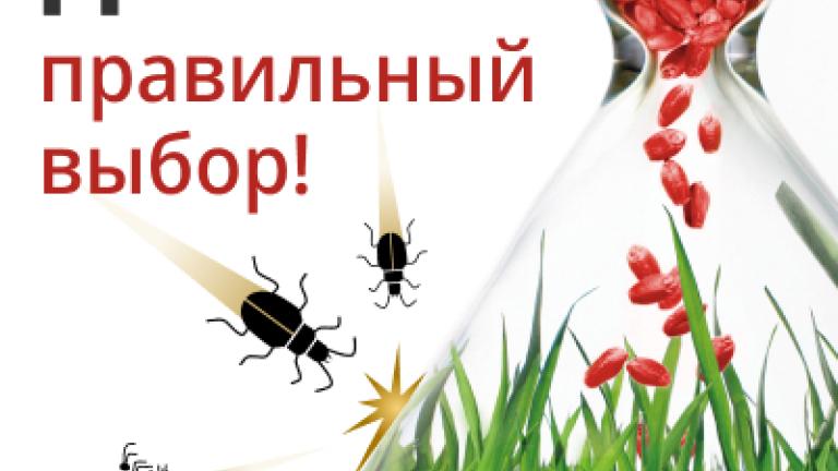 Селест Макс - время делать правильный выбор!
