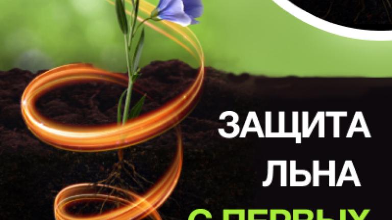 Селест Топ защита льна с первых дней