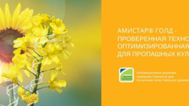 Амистар Голд