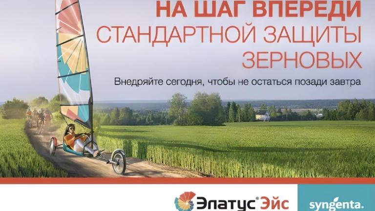 Элатус Эйс