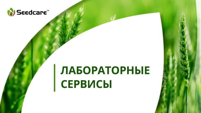 Лабораторные сервисы