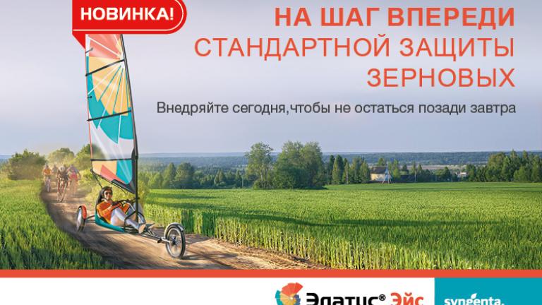 Элатус Эйс новый фунгицид для зерновых