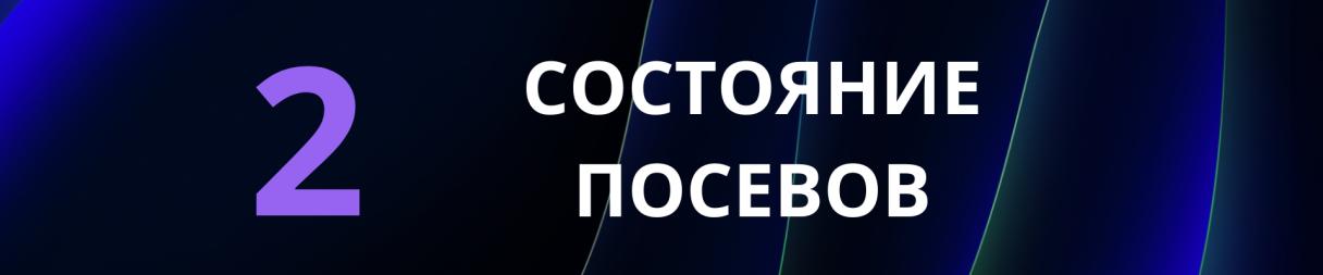 СОСТОЯНИЕ ПОСЕВОВ