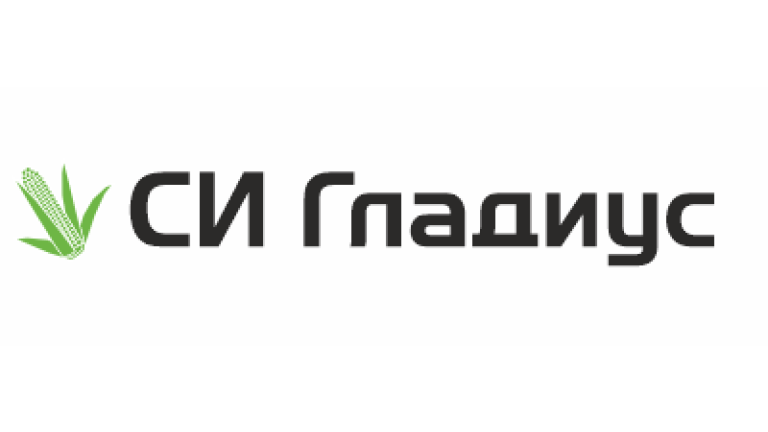 СИ Гладиус